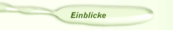 Einblicke